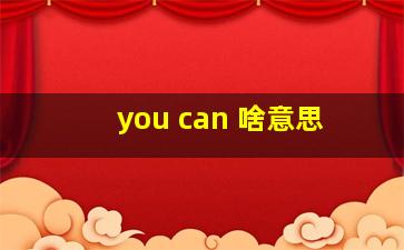 you can 啥意思